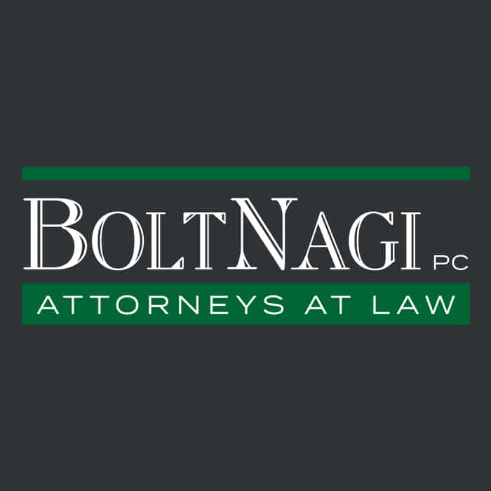 BOLTNAGI PC logo