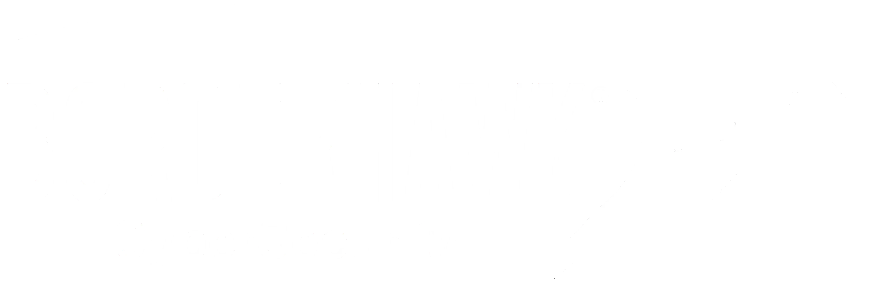BORDERHAWK, LLC logo