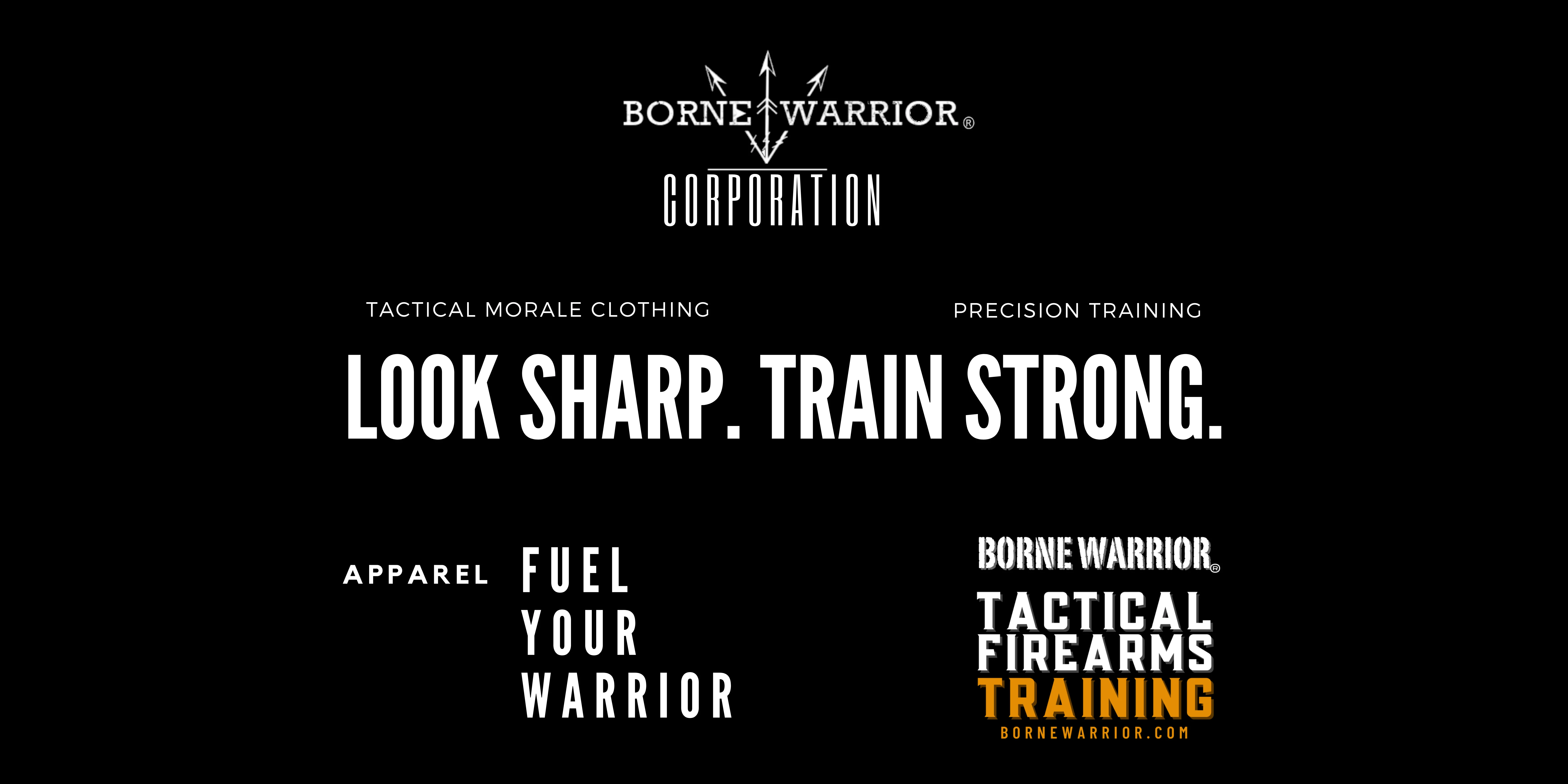 BORNE WARRIOR CORP logo