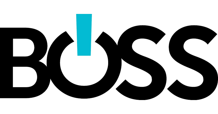 BOSS CONTROLS, INC logo