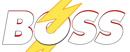 BOSS LTG INC logo