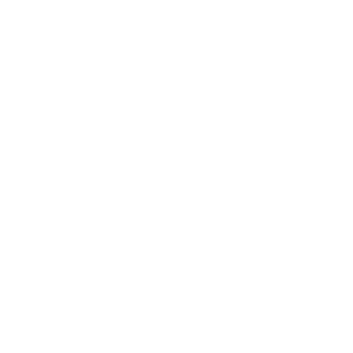 BOSTON PRODUCTIONS INC logo