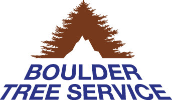 BOULDER OUTDOOR CENTER INC logo