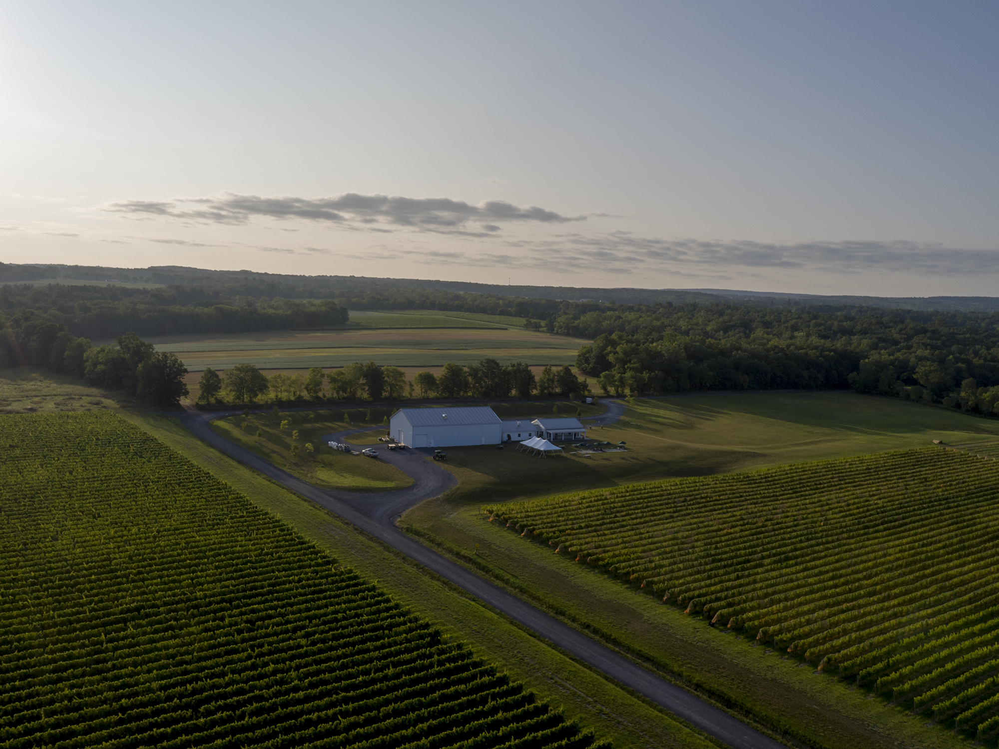 BOUNDRY BREAKS VINEYARD logo