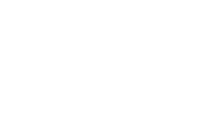 BOWMAN FOSTER & ASSOCIATES PC logo