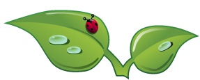 BOYJIN DEVELOPMENT LLC logo