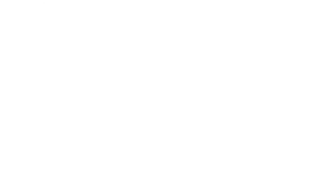 BP AERO SERVICES, LLC logo