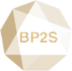BP2S LLC logo