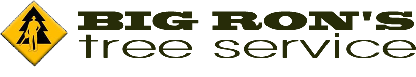 BR REO SERVICES logo