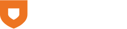 BRAIN ARMOR INC logo