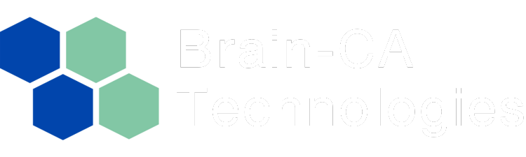 BRAIN-CA TECHNOLOGIES, INC logo