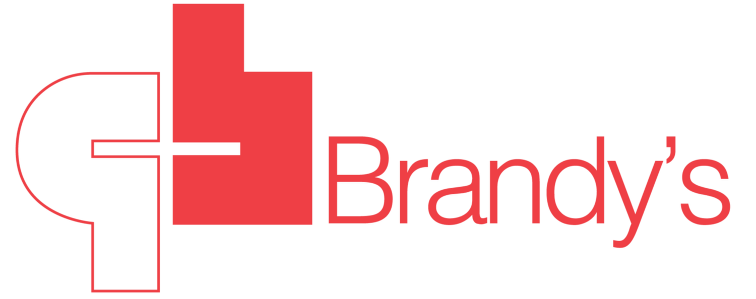 BRANDYS PLASTIC logo
