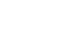 BRANTLEY R LINGERFELT logo