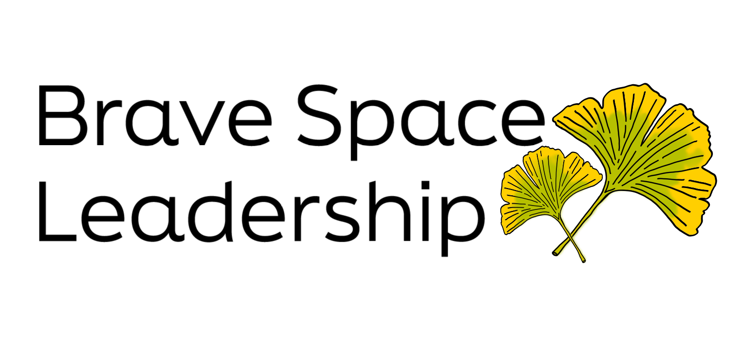 BRAVE SPACE LEADERSHIP LLC logo