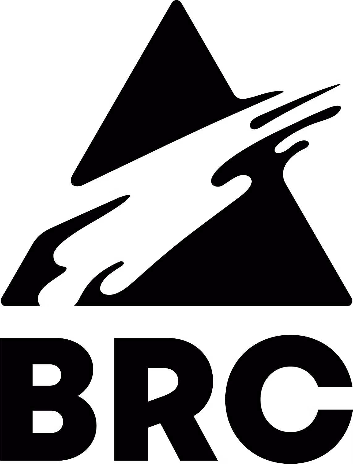 BRC IMAGINATION ARTS, LLC logo