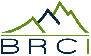BRC INTERNATIONAL CORP logo