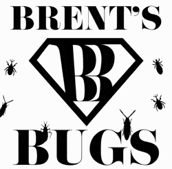 BRENTS BUGS LLC logo