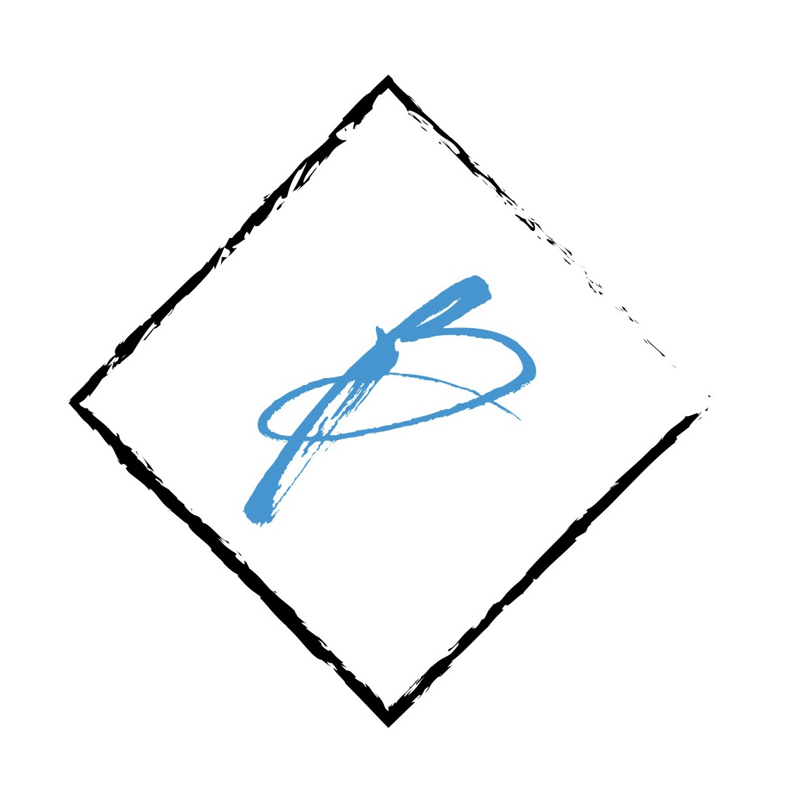 BRIAN DOES THINGS LLC logo