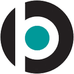 BRIDGE PHILANTHROPIC CONSULTING, LLC logo