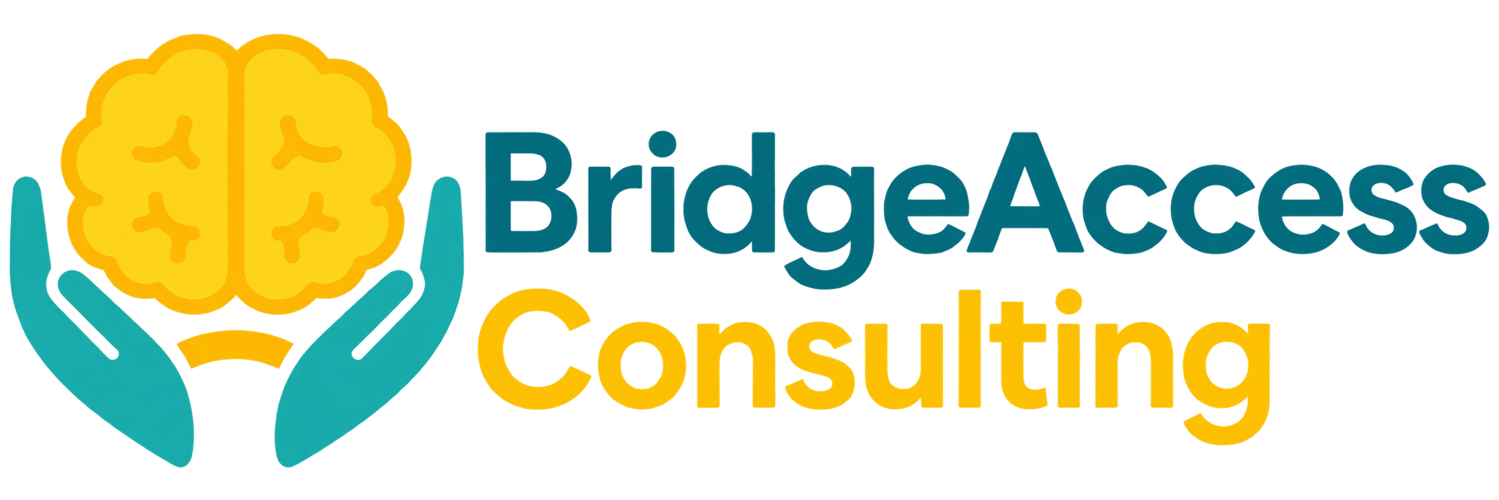 BRIDGEACCESS CONSULTING LLC logo
