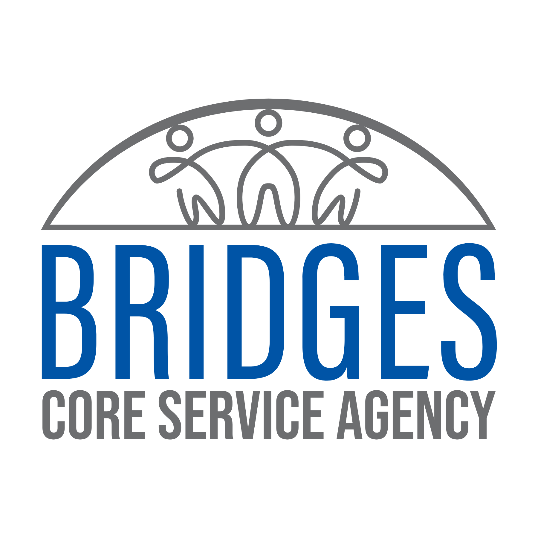 BRIDGES CSA OF TEXAS INC logo