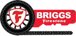 BRIGGS FIRESTONE INC logo