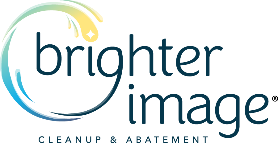 BRIGHTER IMAGE, INC. logo