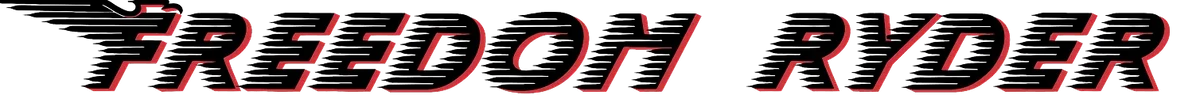BRIKE INTERNATIONAL LTD logo