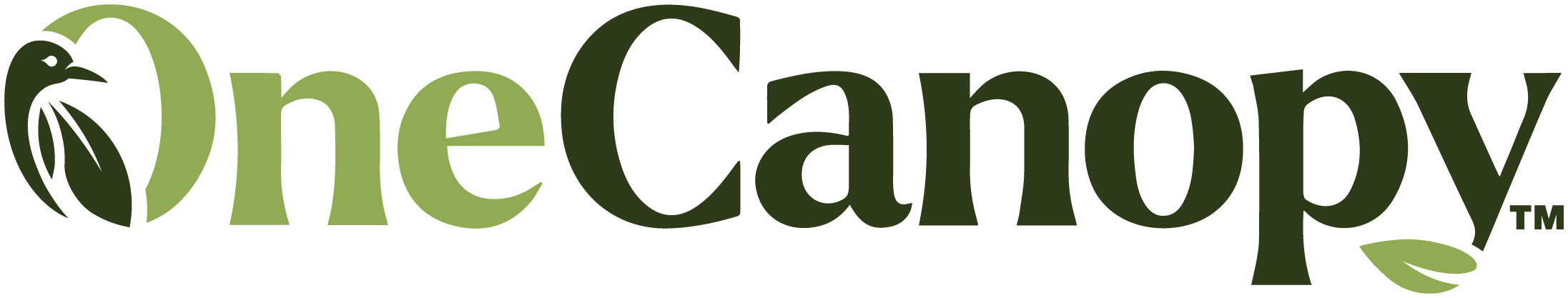 BRINKMAN CONSERVATION, LLC logo