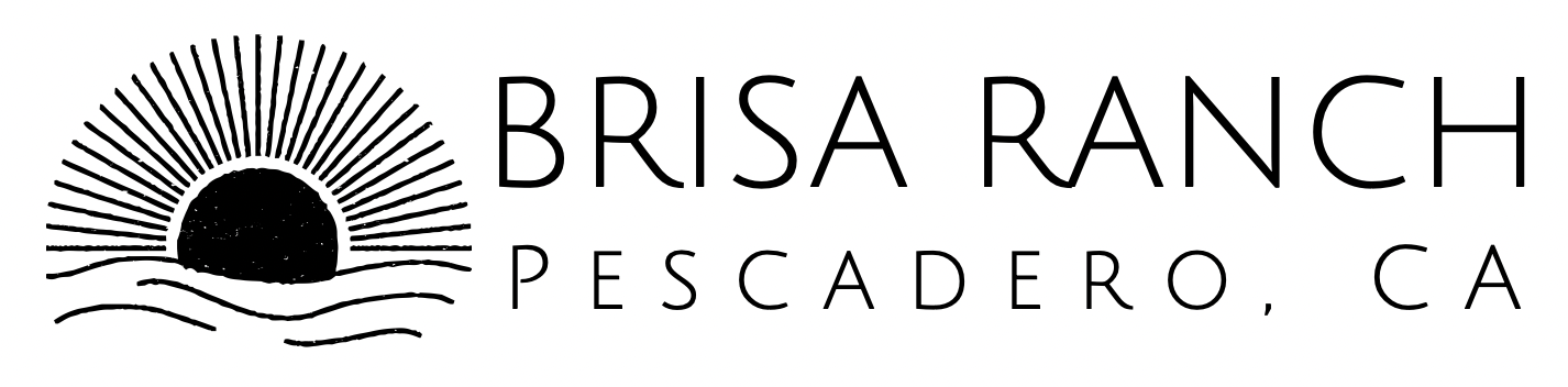 BRISA RANCH LLC logo