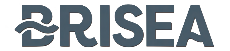 BRISEA INTERNATIONAL DEVELOPMENT INC logo