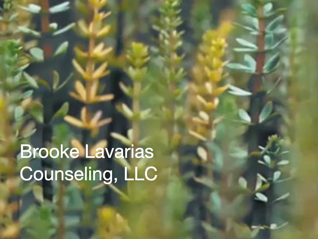 BROOKE LAVARIAS COUNSELING, LLC logo