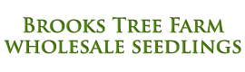 BROOKS TREE FARM INC logo