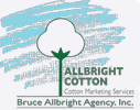 BRUCE ALLBRIGHT AGENCY INC logo