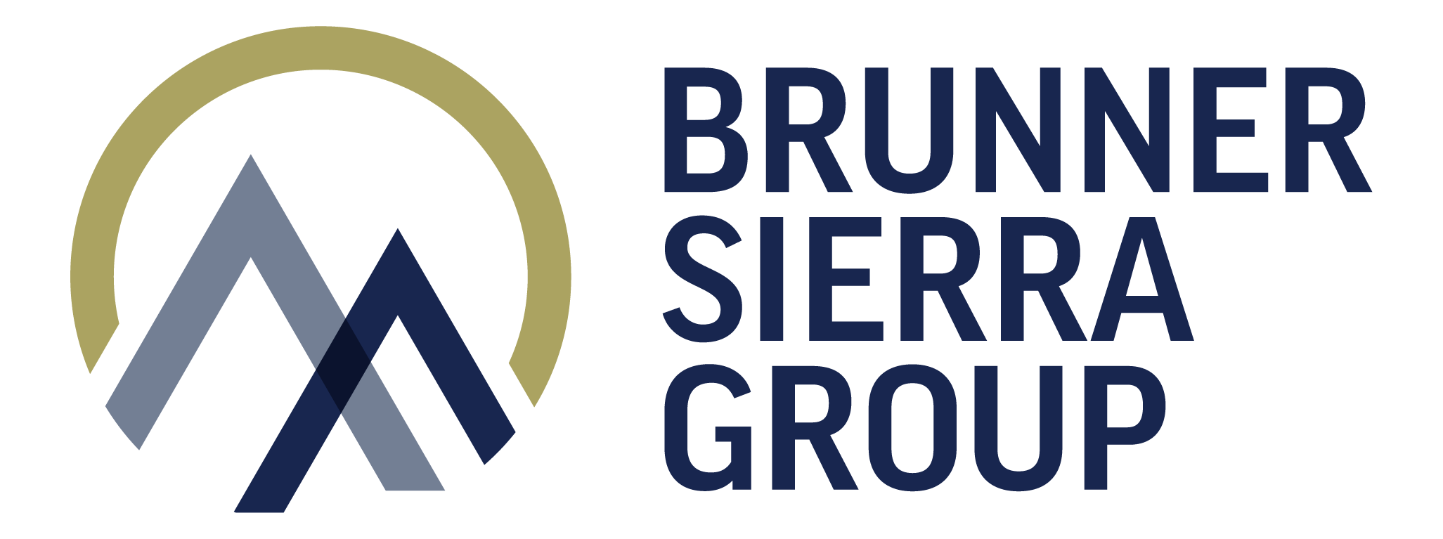 BRUNNER SIERRA GROUP LLC logo