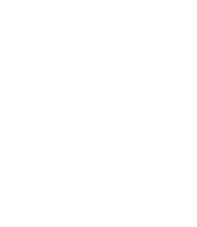BRUNSON CONSTRUCTION SERVICES INC logo