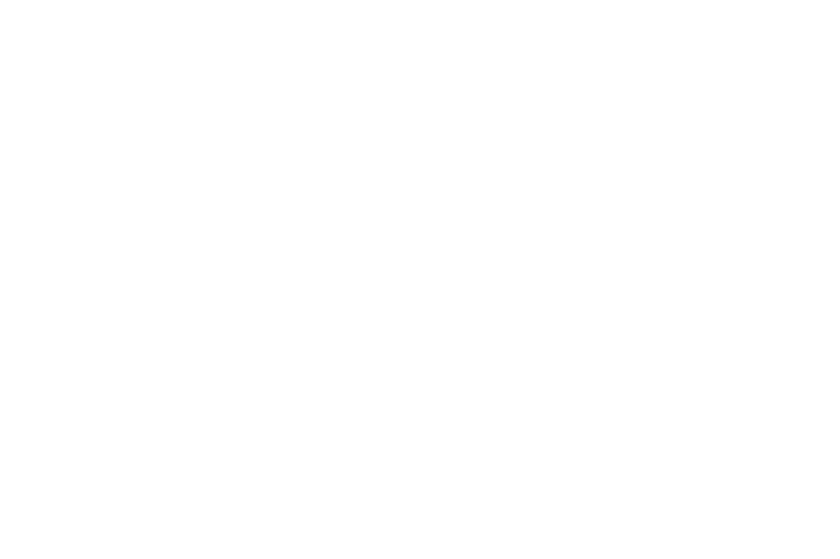 BRUZ BEERS logo