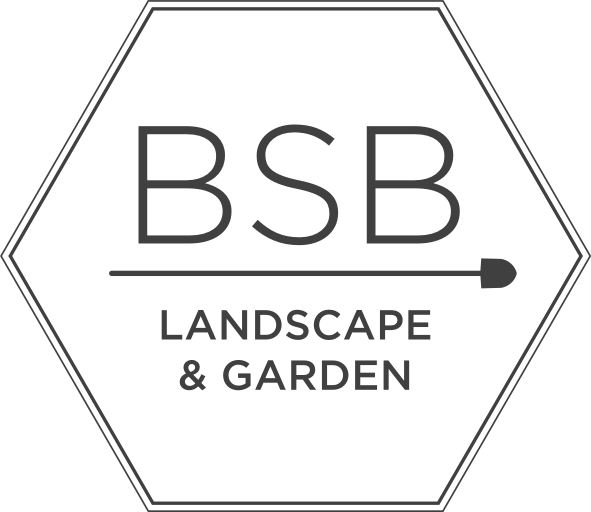 BSB ENVIRONMENTAL LANDSCAPE LLC logo
