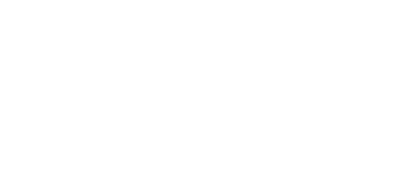 BTI EVENTS logo