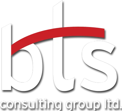BTS CONSULTING GROUP-LTD logo