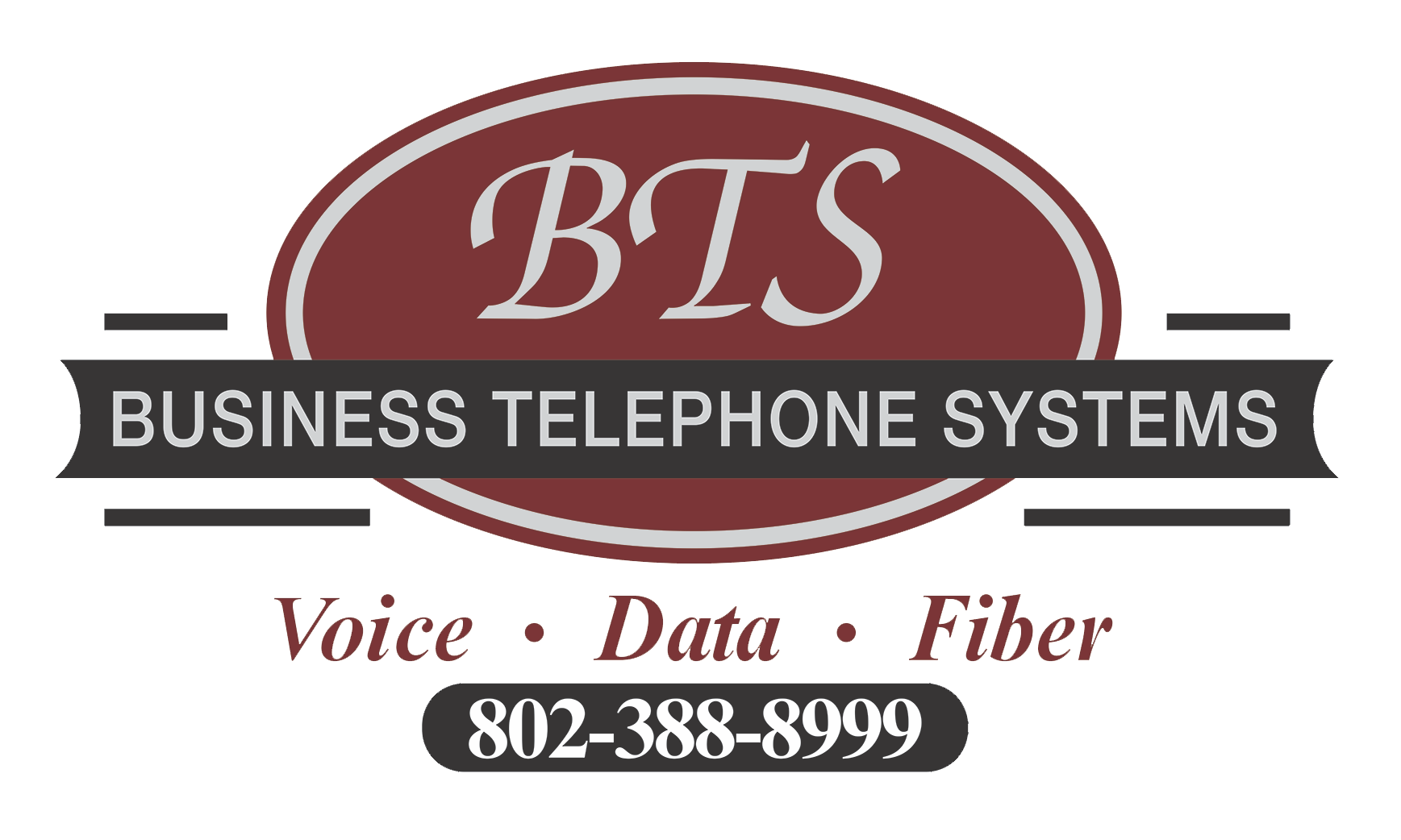 BTS, INC. logo