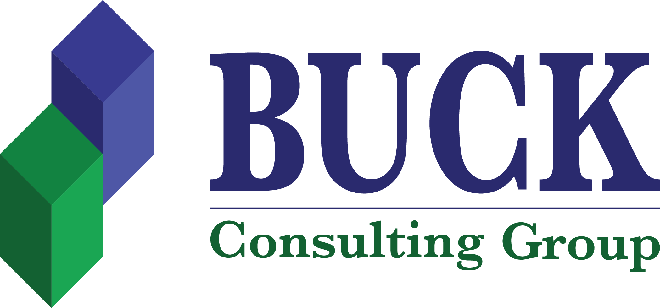 BUCK CONSULTING GROUP LLC logo