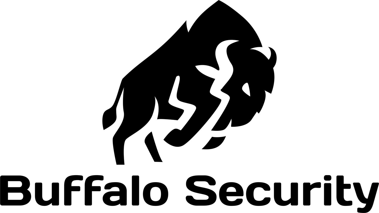 BUFFALO LOCK & KEY, INC. logo
