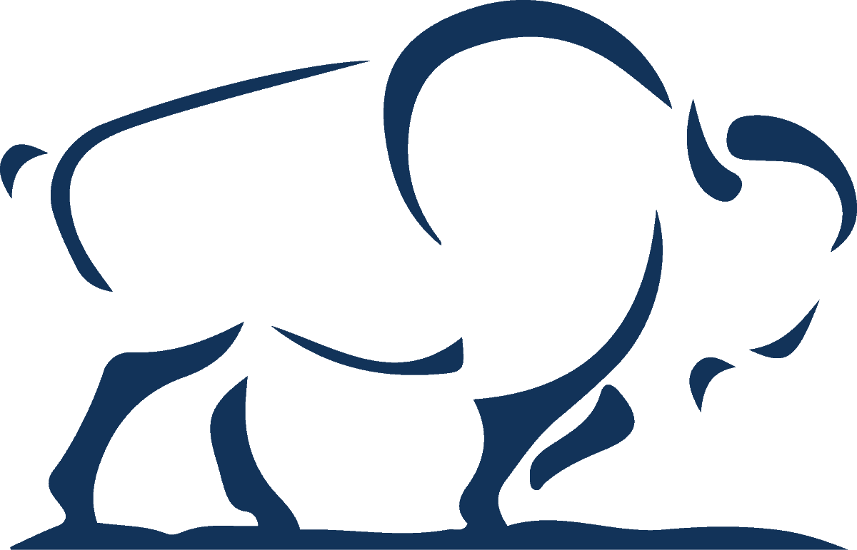 BUFFALO SUPPLY INC. logo