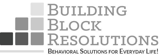 BUILDING BLOCK RESOLUTIONS INC logo