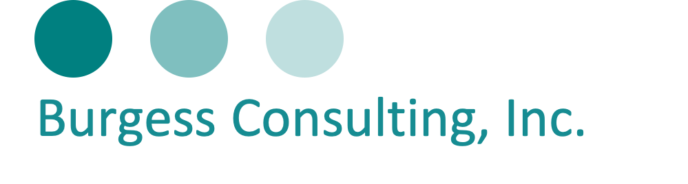 BURGESS CONSULTING INC logo