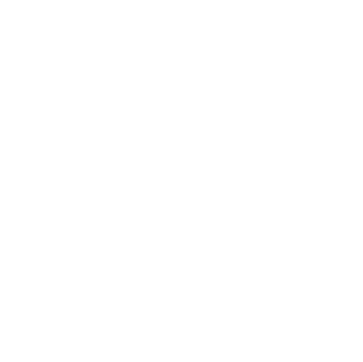 BUSHTO LLC logo