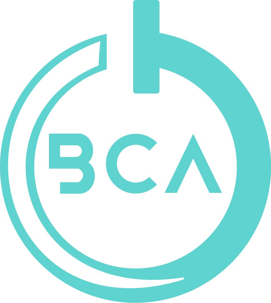 BUSINESS COMPUTER ANALYSTS USA LLC logo
