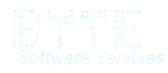BYTE SOFTWARE SERVICES, LLC logo