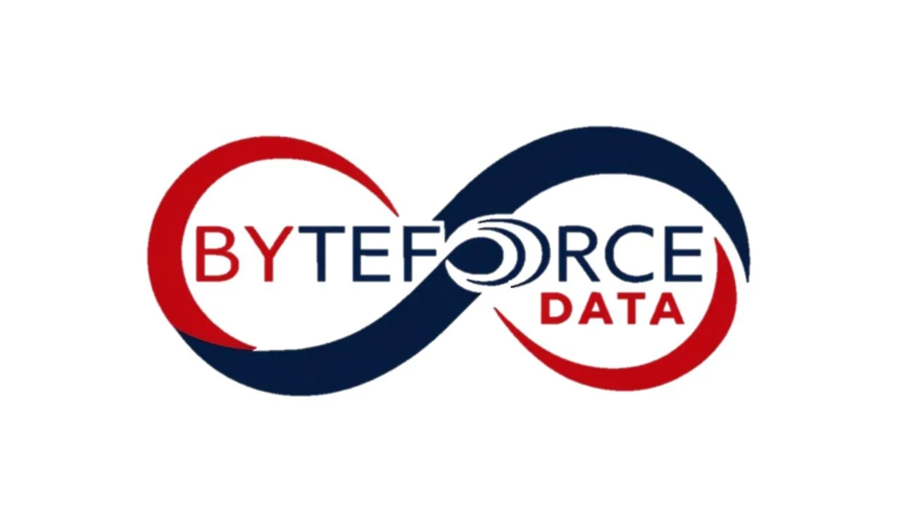 BYTEFORCE DATA LLC logo
